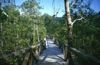 Parque natural utría 