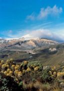 parque natural de los nevado,Andes