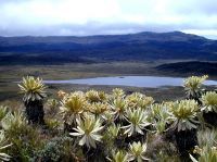 Parque natural Purace