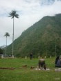 /album/fotogaleria-valle-del-cocora/p1050954-jpg/