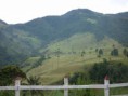 /album/fotogaleria-valle-del-cocora/p1050764-jpg/