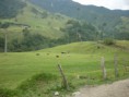 /album/fotogaleria-valle-del-cocora/p1050776-jpg/