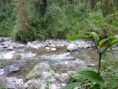 /album/fotogaleria-valle-del-cocora/p1050883-jpg/