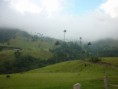 /album/fotogaleria-valle-del-cocora/p1050916-jpg/