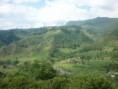 /album/fotogaleria-valle-del-cocora/g-jpg1/