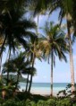 /album/fotogaleria-parques-naturales-ambientales/d737f533be45858cb61611a4d7a91f84-jpg/