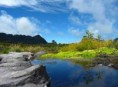 /album/fotogaleria-parques-naturales-ambientales/f9a74e53339f9ca90be0a969884cb07f-jpg/